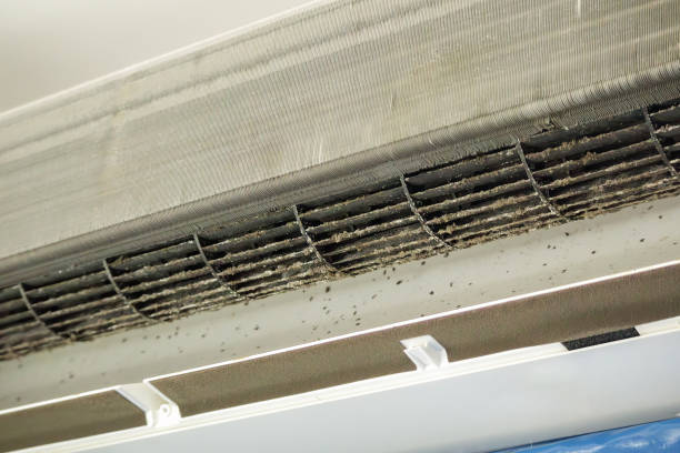 Affordable HVAC Duct Cleaning in Buffalo, MN